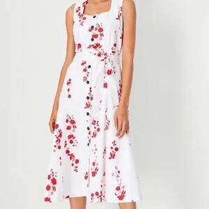 Ann taylor floral flare button dress size 4